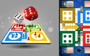 rajasthan ludo